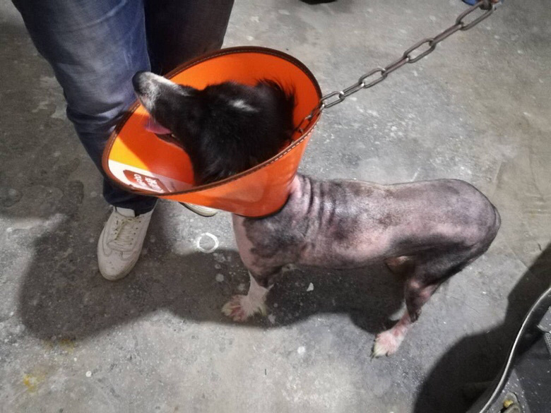 ���߾�Ѱ����