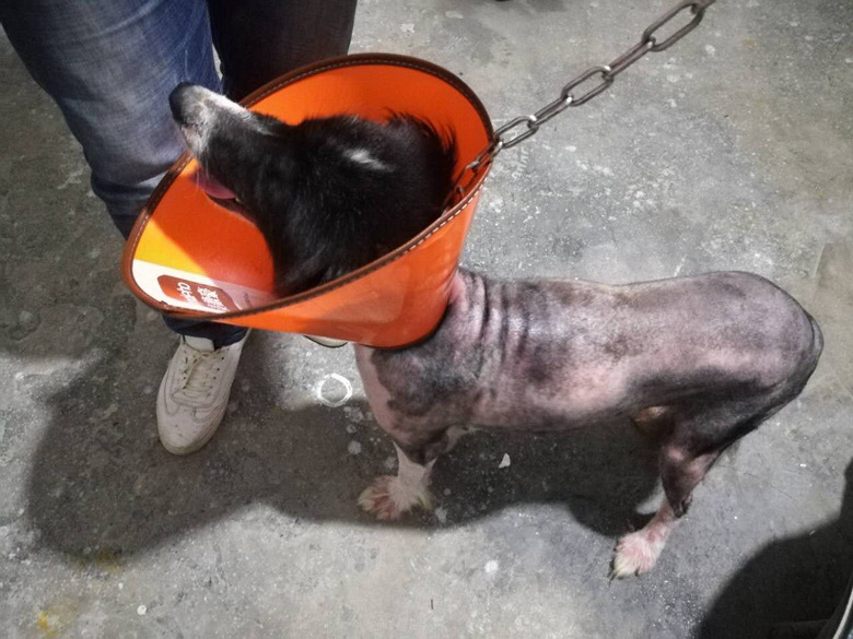 ���߾�Ѱ����