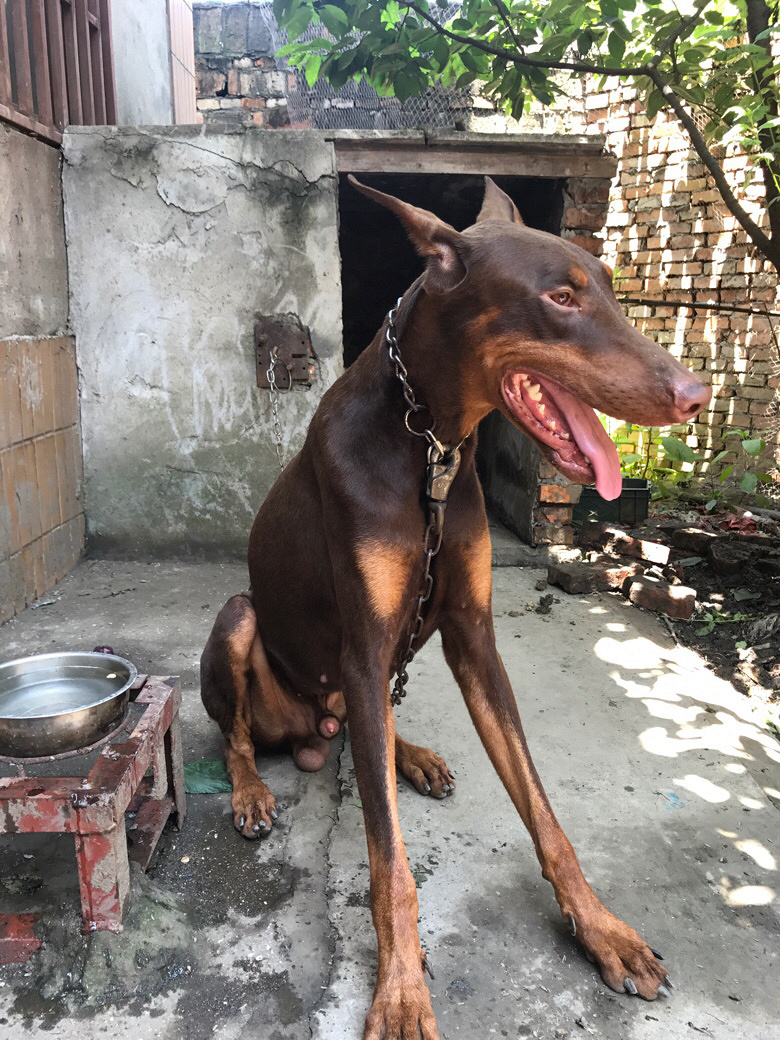 ����ë¿��