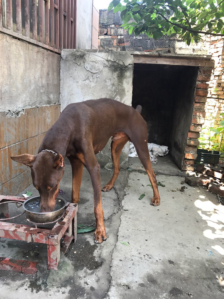 ����ë¿��