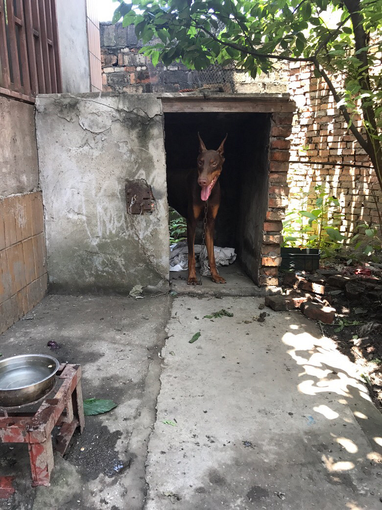 ����ë¿��