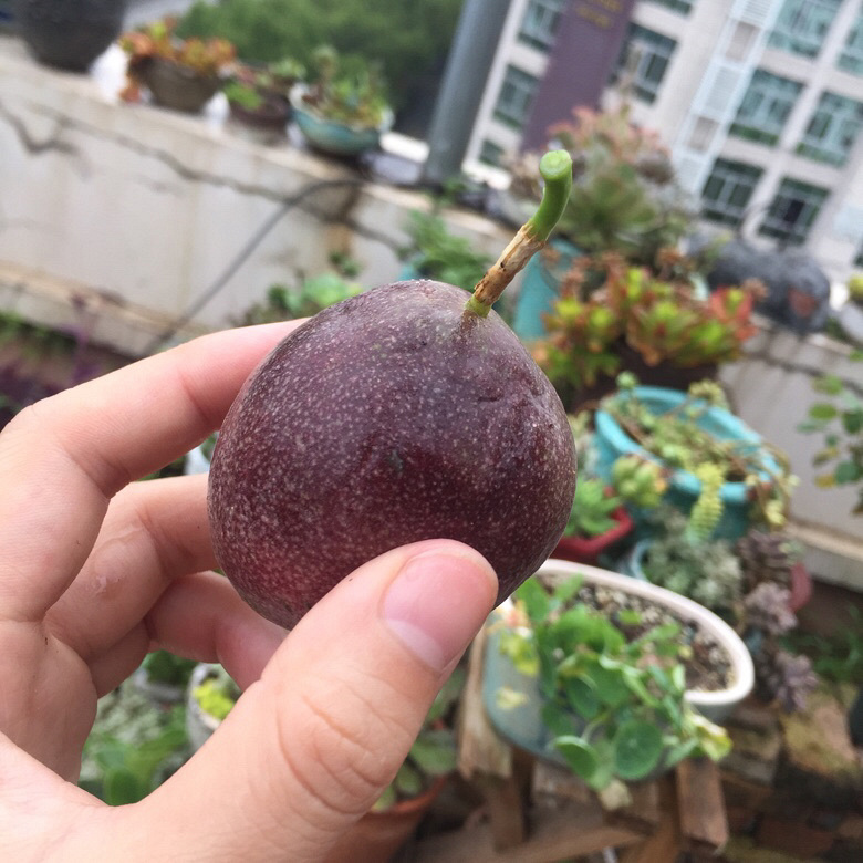 ¥���İ����