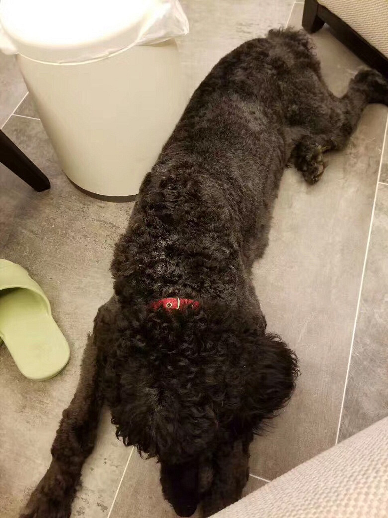 Ѱ�����ˣ������ҳ��и����ɫ�޹�