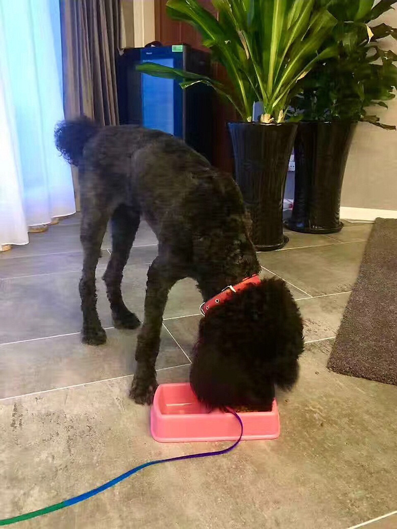 Ѱ�����ˣ������ҳ��и����ɫ�޹�