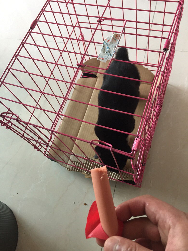 �ɾ����Ѽ����Ĺ���