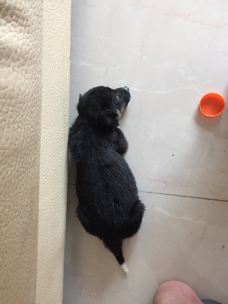 �ɾ����Ѽ����Ĺ���