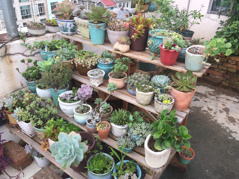 ���������С����