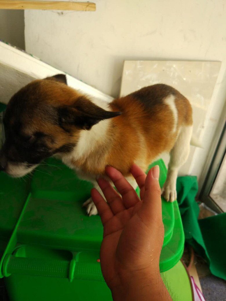 ���ߣ�ĸȮ�������´����������Լ�ȥ����