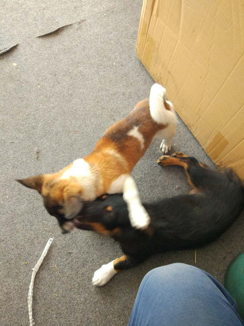 ���ߣ�ĸȮ�������´����������Լ�ȥ����