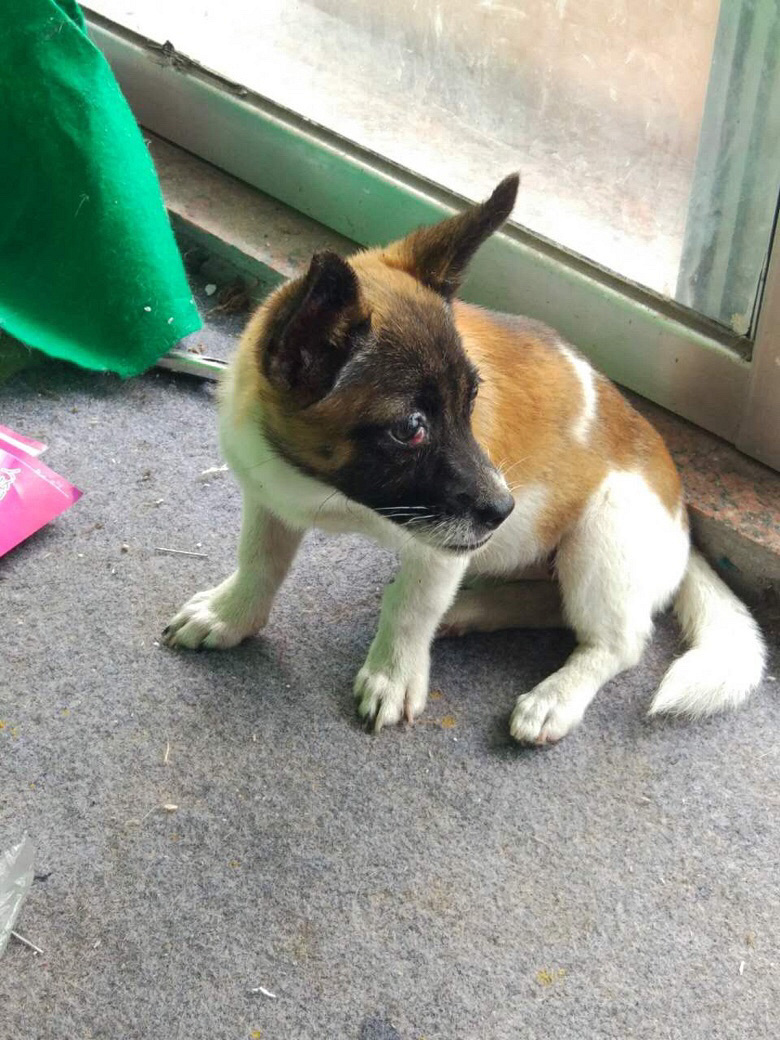 ���ߣ�ĸȮ�������´����������Լ�ȥ����