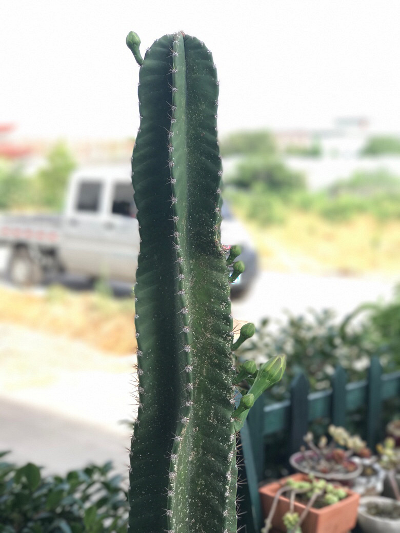 �����ʲô��