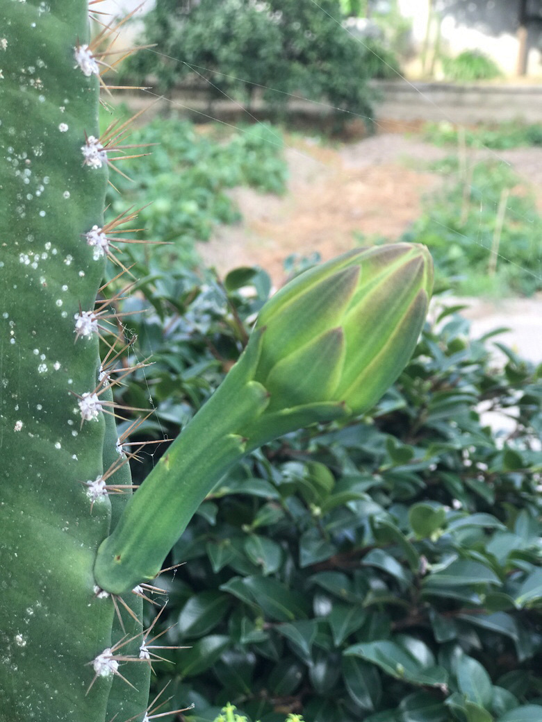 �����ʲô��