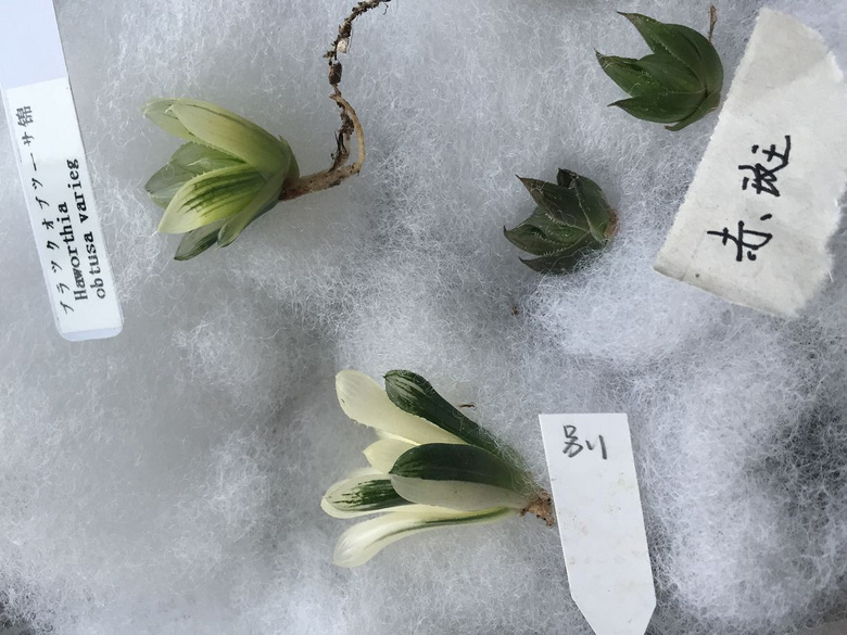 �������ȣ����������ˣ��´λ��ǵ����������