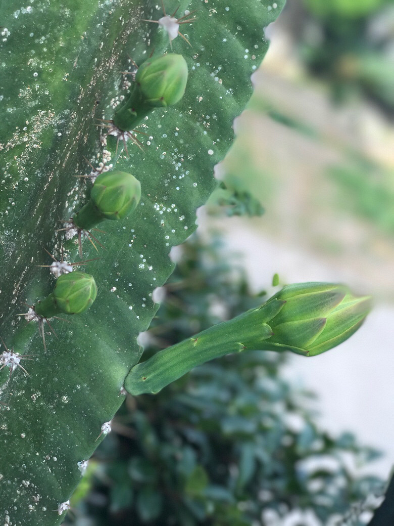 ������е�ÿ�