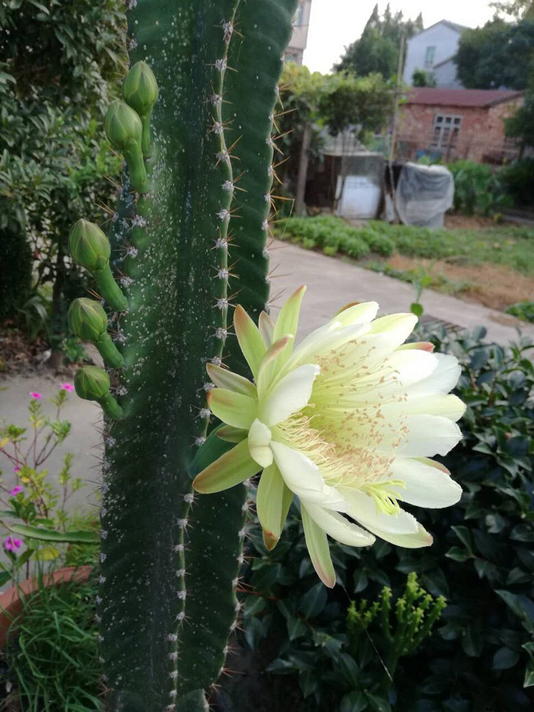 ������е�ÿ�