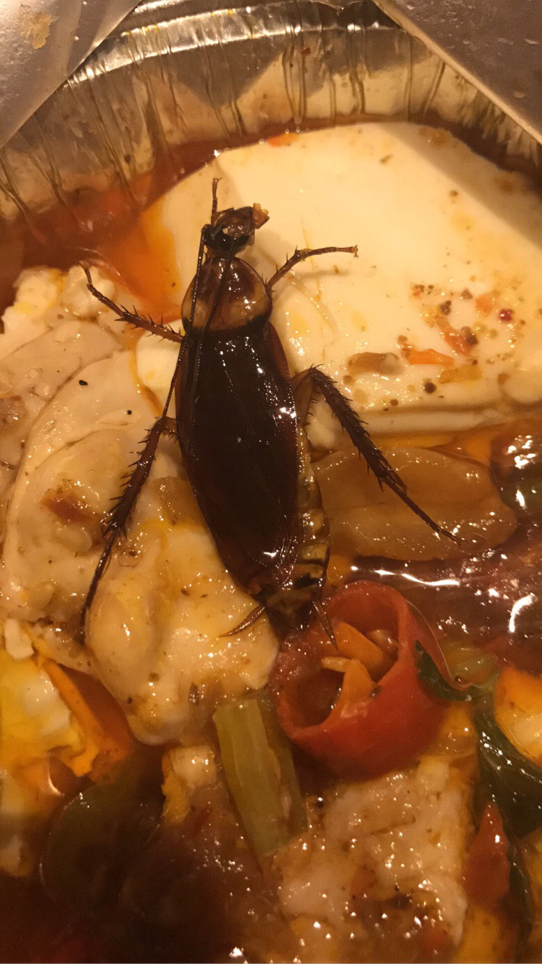 烤蟑螂串图片图片