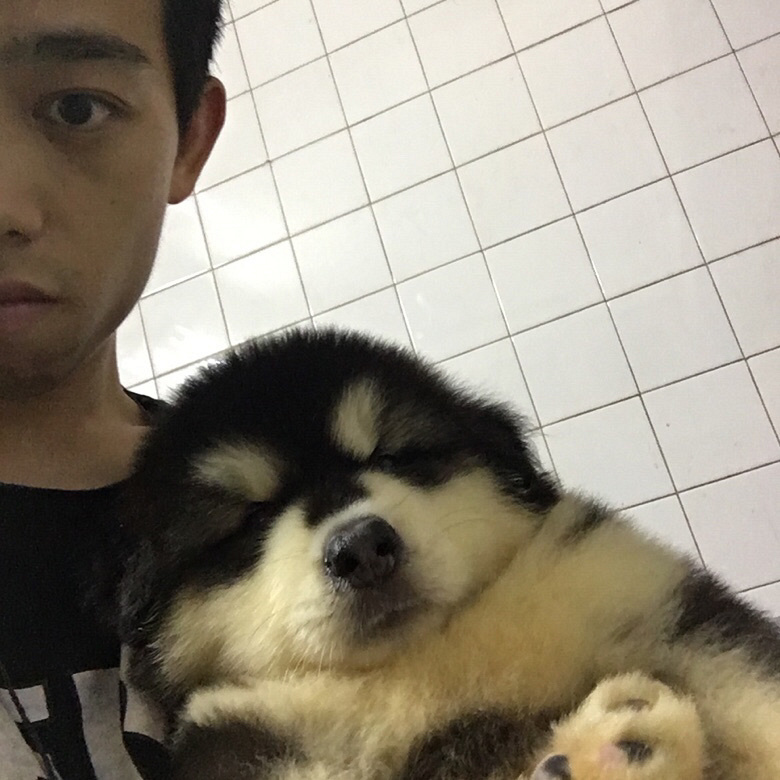 ��������˹��