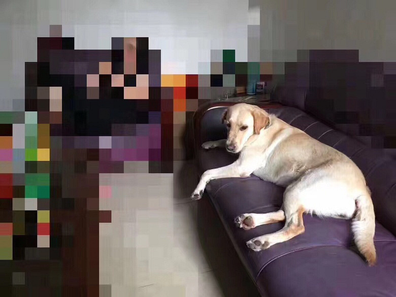 #Ѱ����ʾ#���Ӽҵ�С����ֻ��������7��