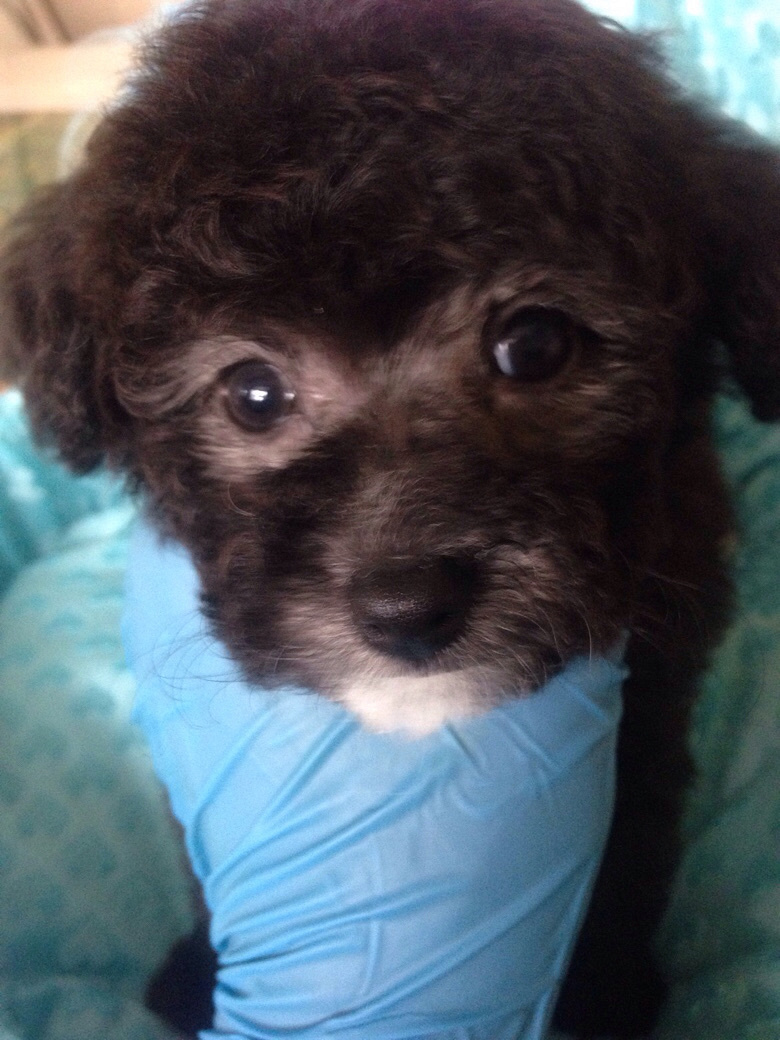 ���ӻ��������¼�