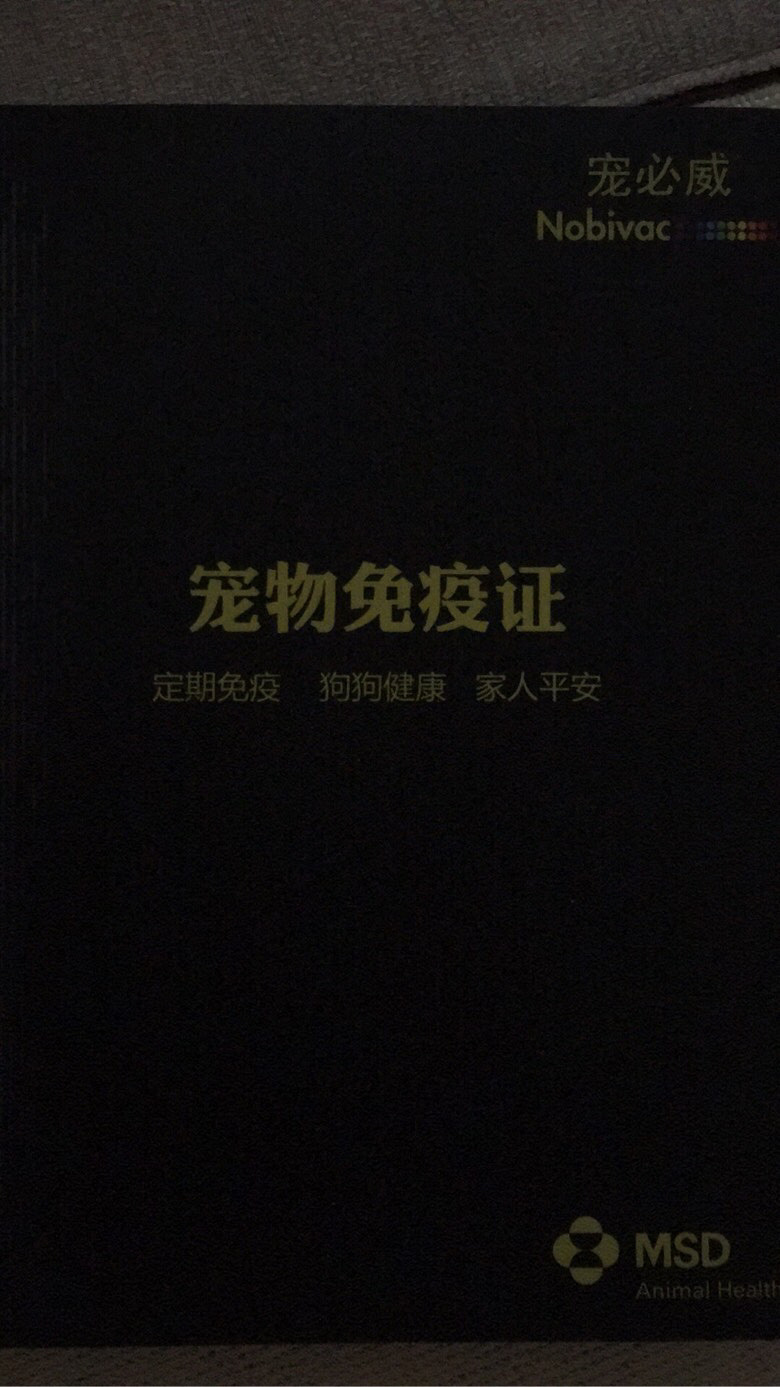 ���͵ܵܣ����ܳ��ѣ���ʼԤ������������
