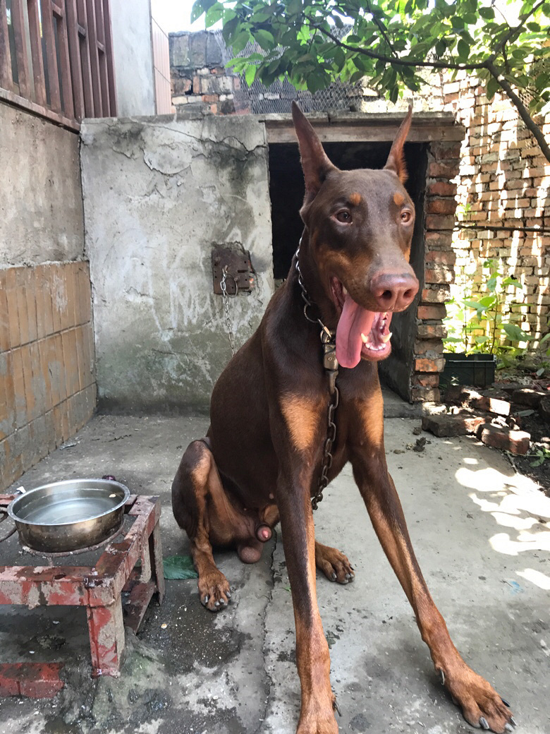 ���ű��Ҹ��飬Ҫĸ�ġ�