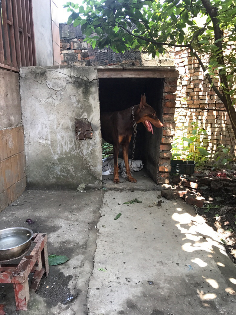 ���ű��Ҹ��飬Ҫĸ�ġ�