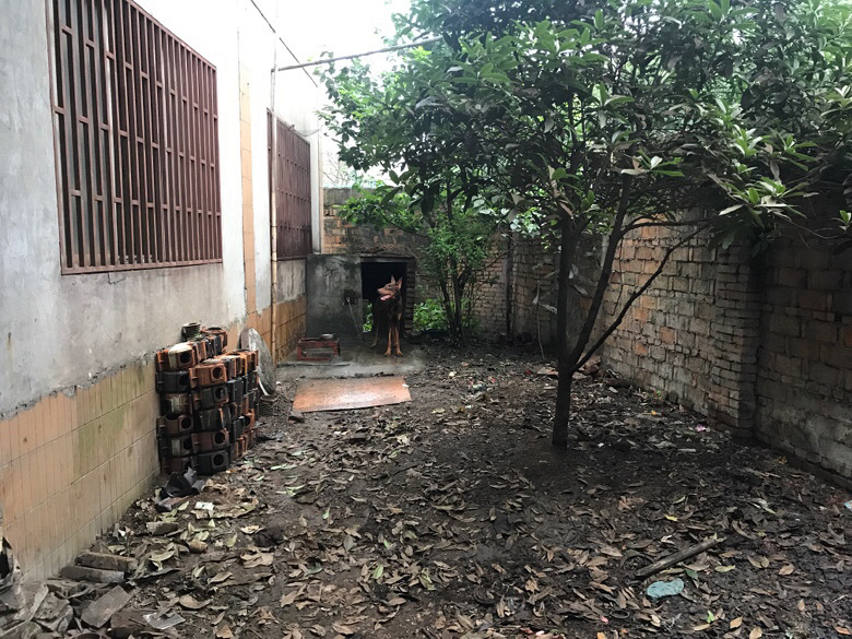 ���ű��Ҹ��飬Ҫĸ�ġ�