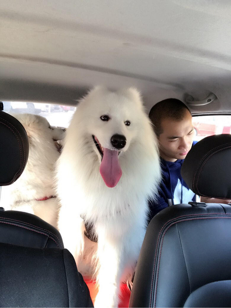 ������������ȥ�����