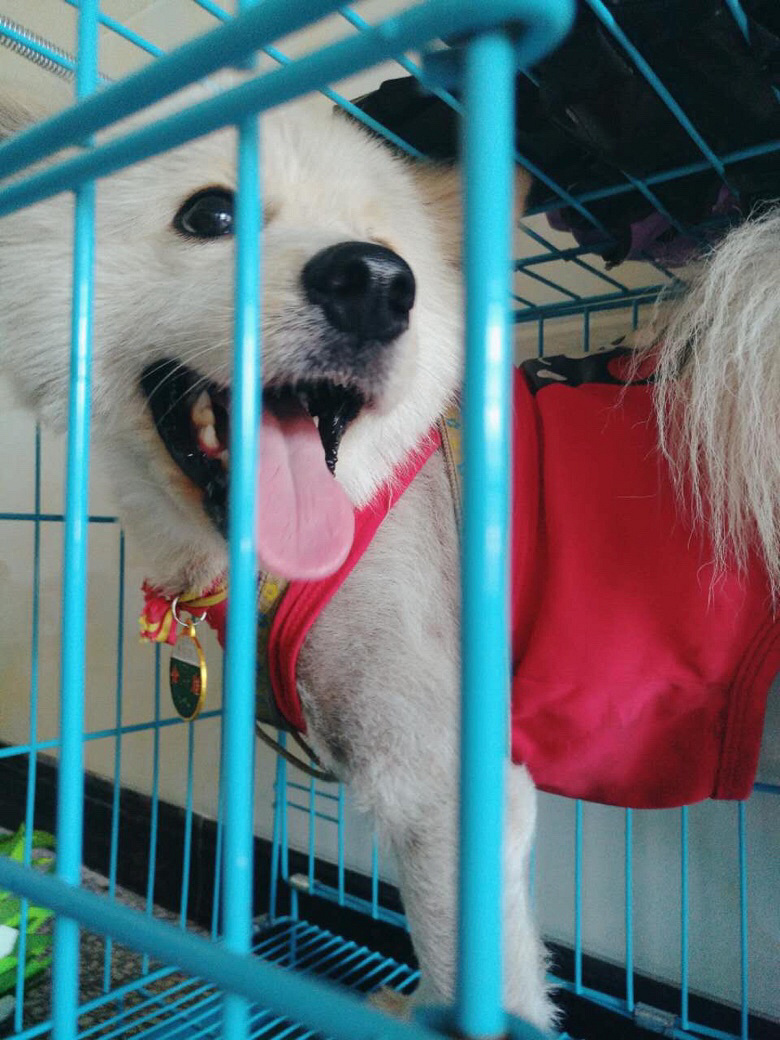 ����Ȯ��һ��룬����δ����������ȫ������