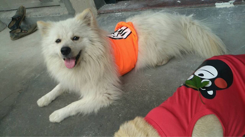 ����Ȯ��һ��룬����δ����������ȫ������