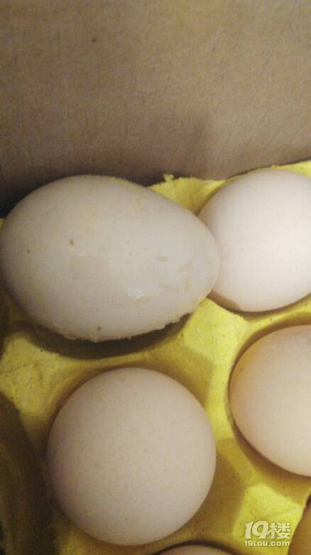 爆料超市里鸡蛋虫子爬满好恶心