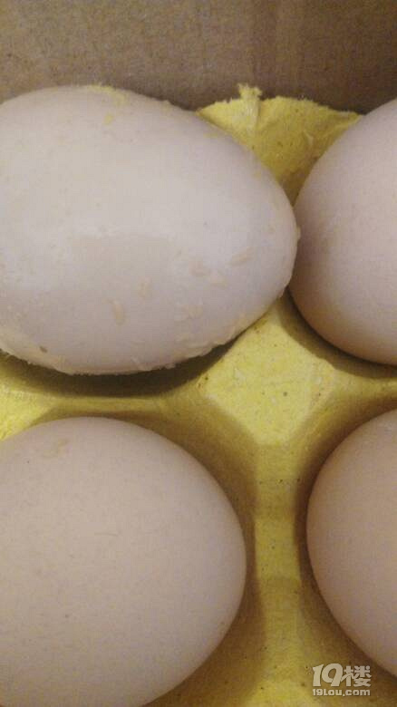 爆料超市里鸡蛋虫子爬满好恶心