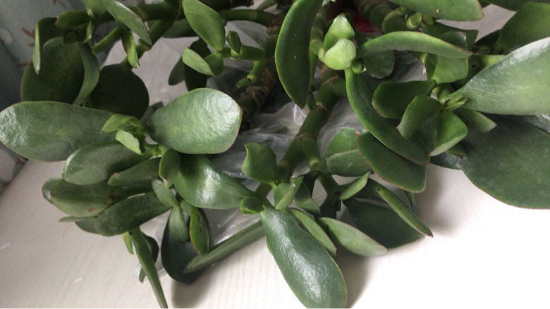 ���������������������Ŀ����𣿣�