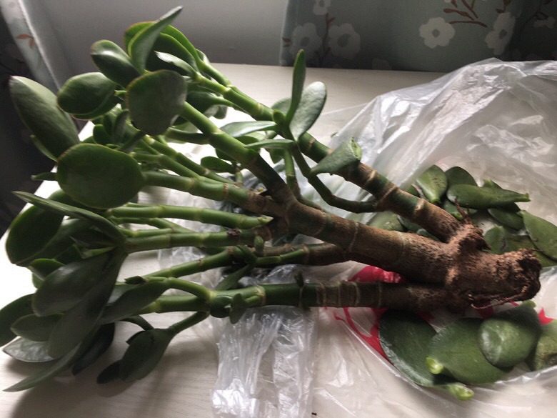 ���������������������Ŀ����𣿣�