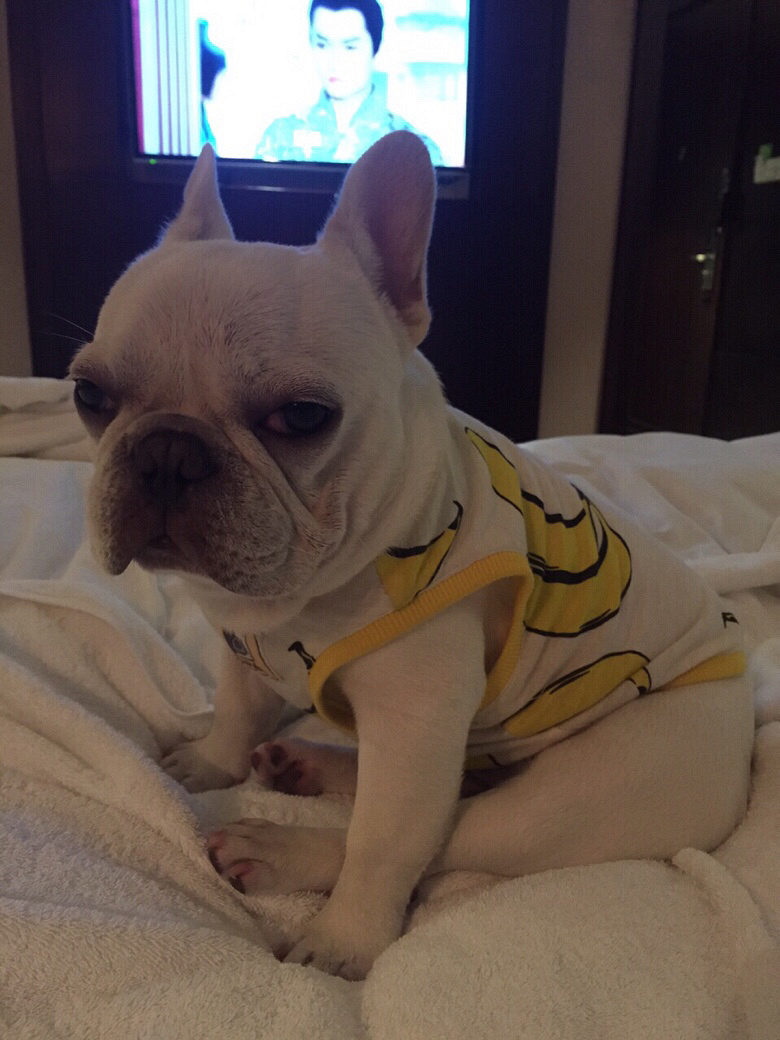 9���µĴ���