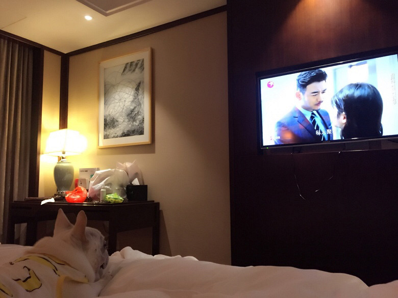 9���µĴ���