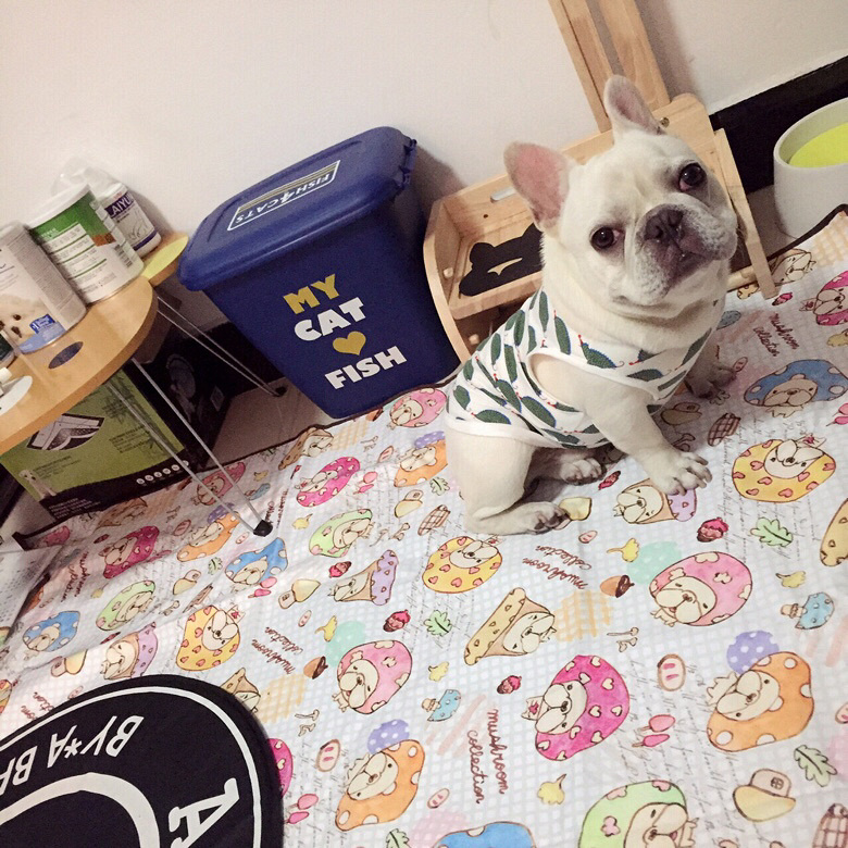 9���µĴ���