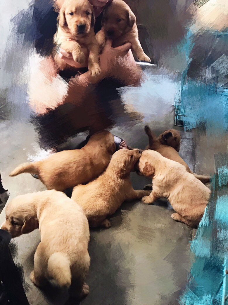 ����ëһ�ѣ���ĸ���У�Ҫ����ϵ