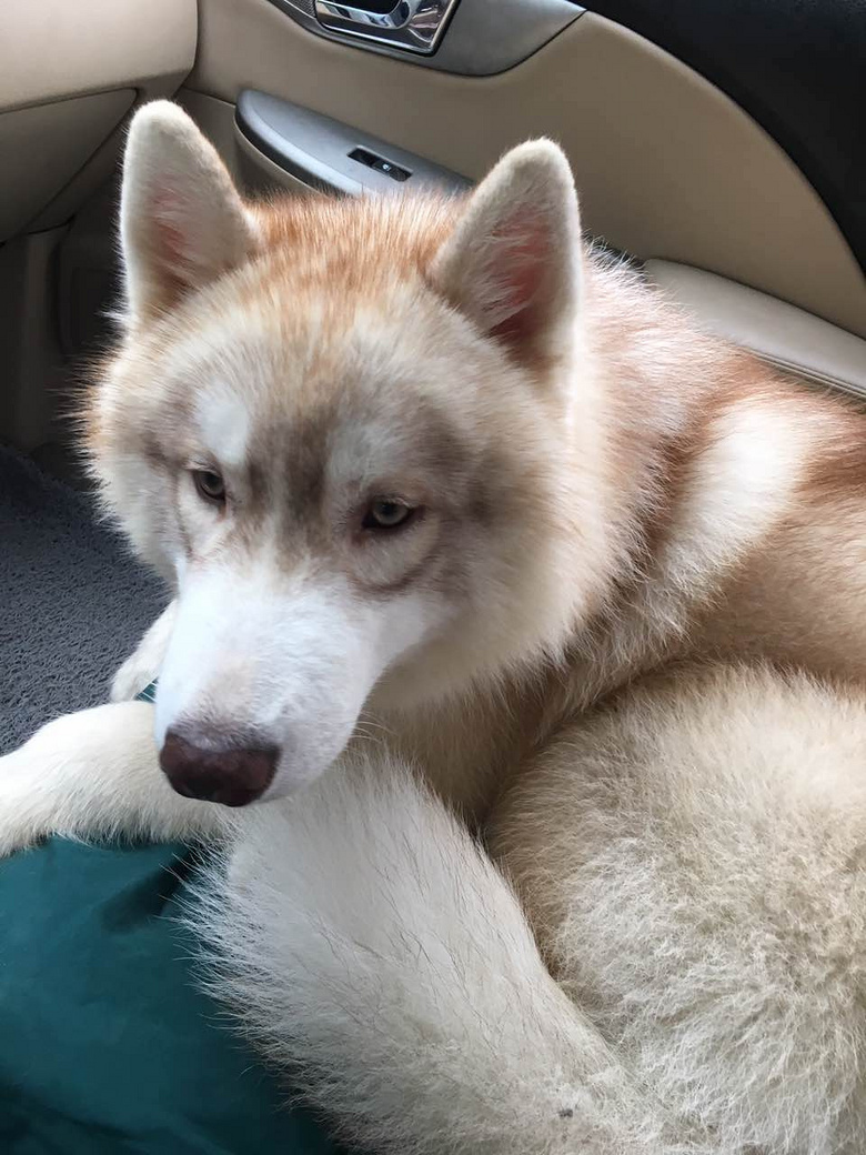 ��ʿ��%u00a          �λ�ɫ�ı���