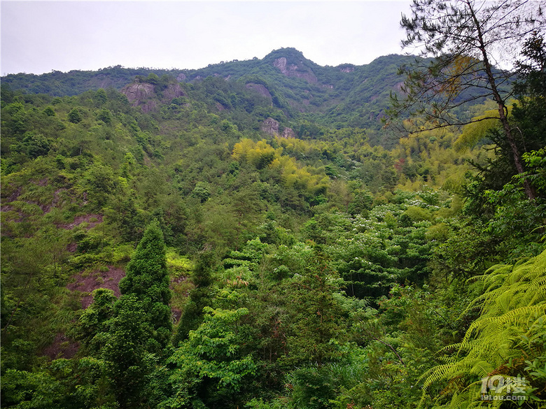 箬坳嶺古道一溪分永樂劍巖分兩村深岙桃源地重嶂幽寂中