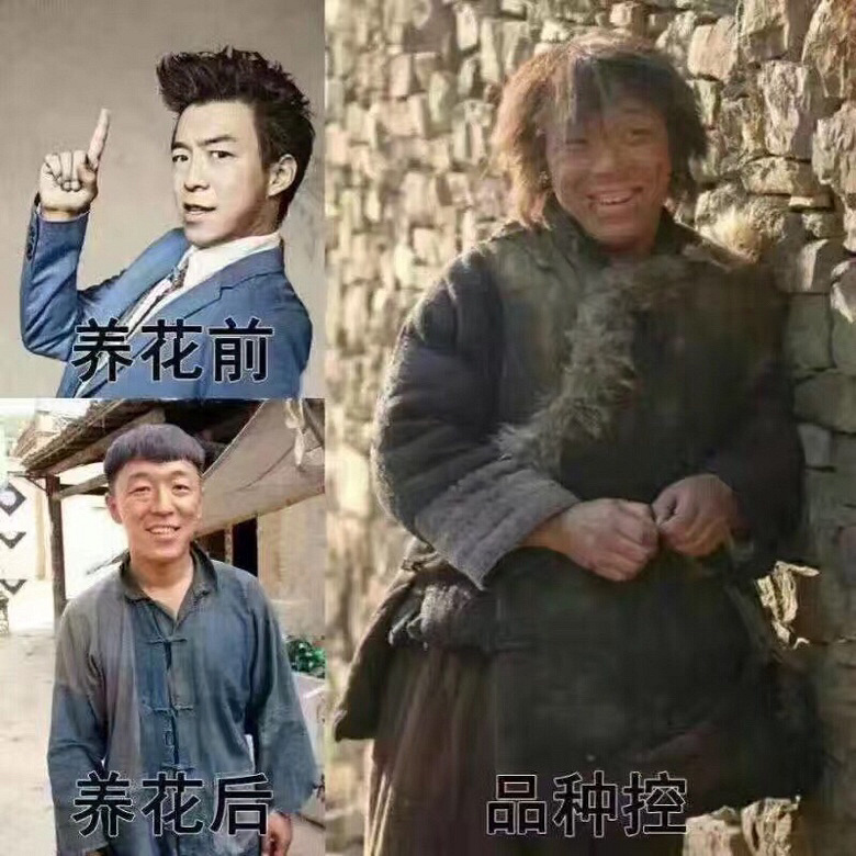 ǰ�����ܣ�������Ϯ