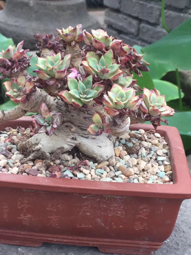 ���������Ŷ��ˣ�