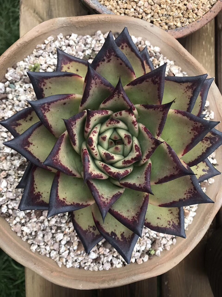 ���������Ŷ��ˣ�