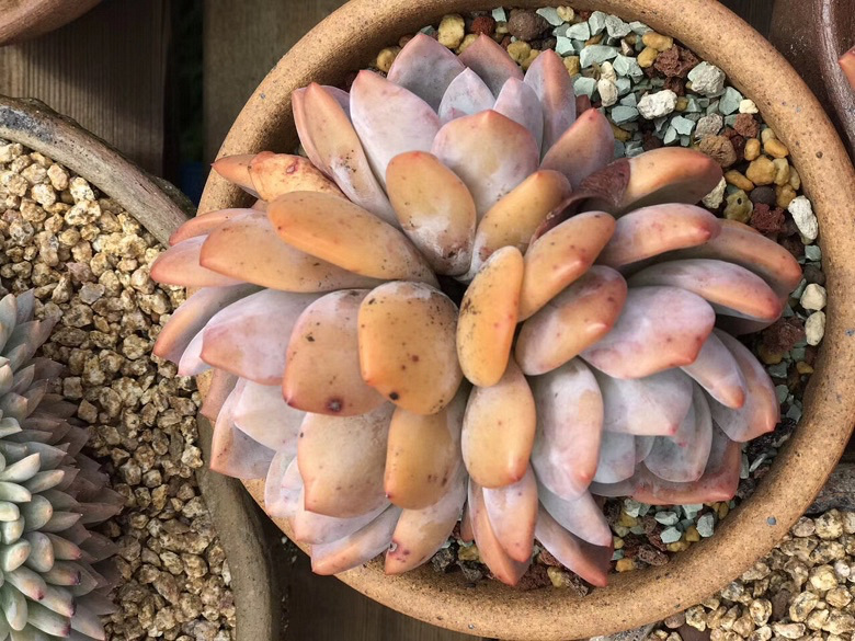 ���������Ŷ��ˣ�