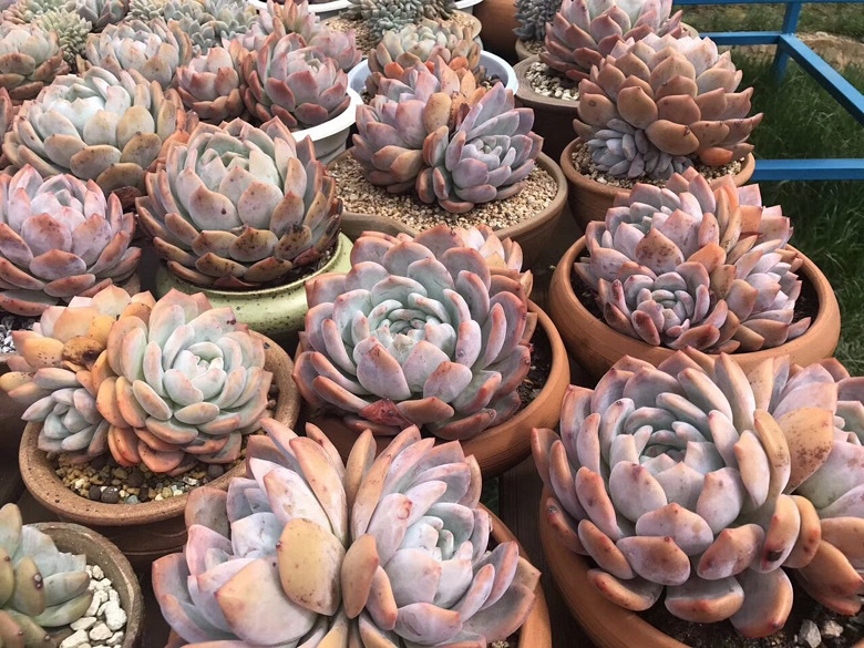 ���������Ŷ��ˣ�