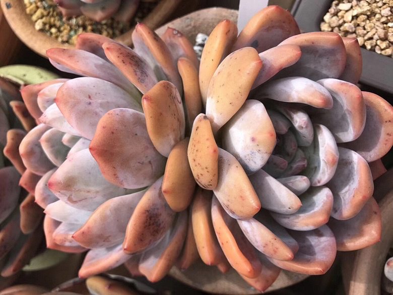 ���������Ŷ��ˣ�