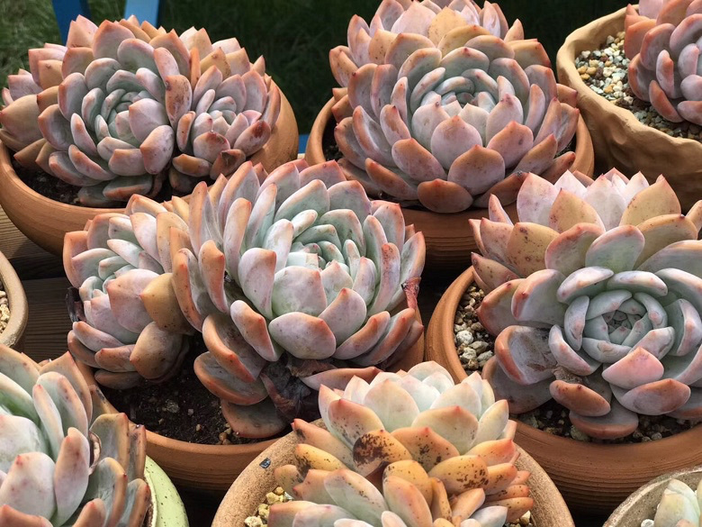 ���������Ŷ��ˣ�