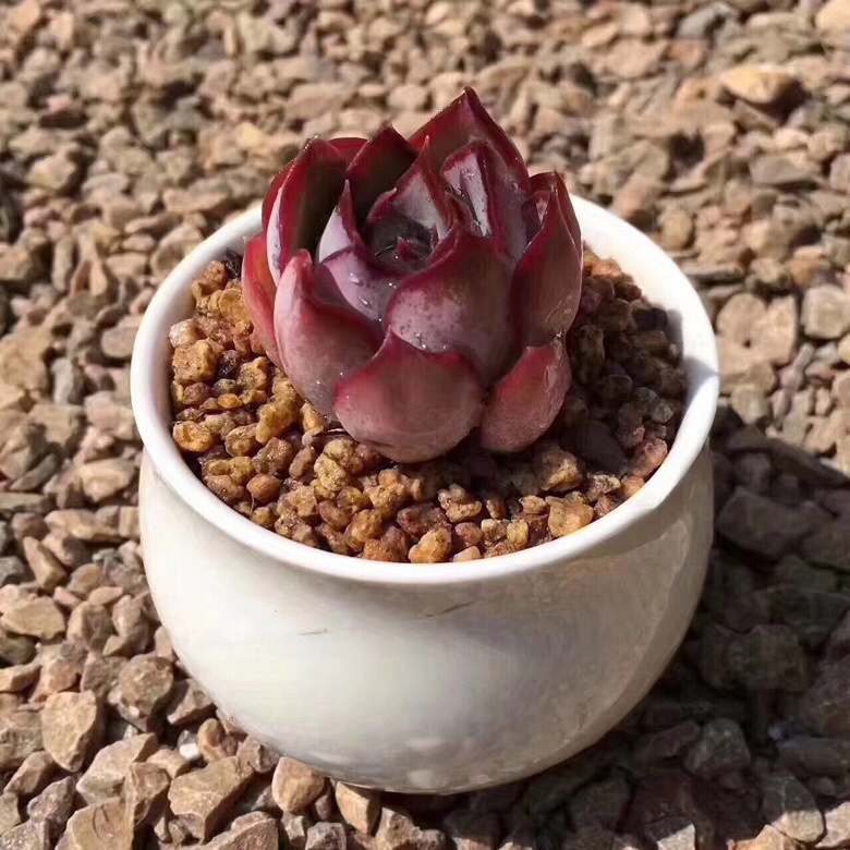 ���������Ŷ��ˣ�