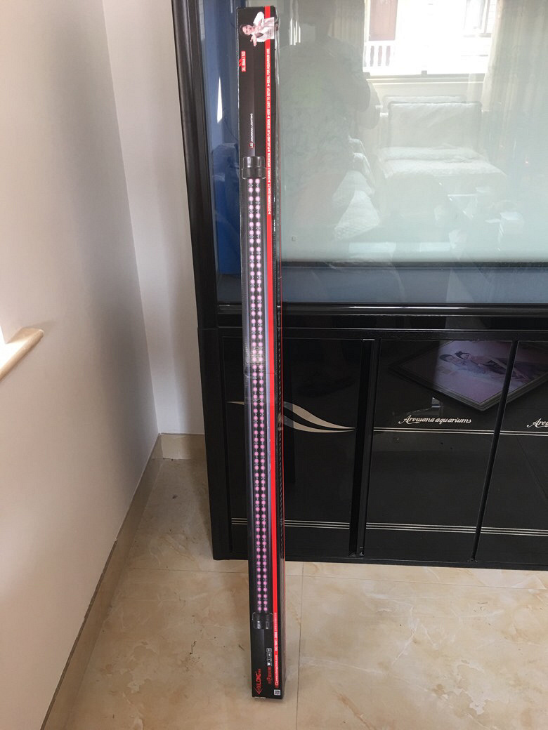�������˱���������ף�����ף����Ӹף��ȴ�������