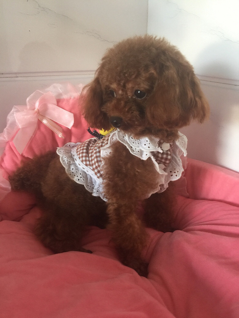 ת���Լ�����̩�Ϲ������
